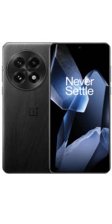 Read more about the article OnePlus 13