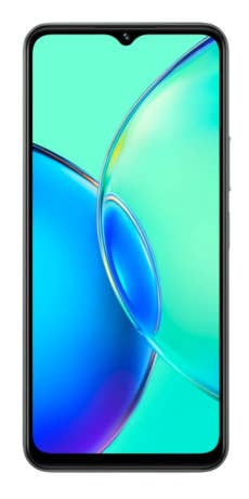 vivo Y17s